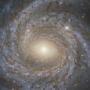 Meet your Posher, Zulma